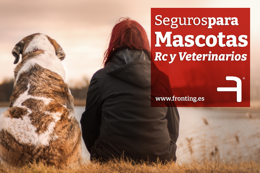 Mascotas